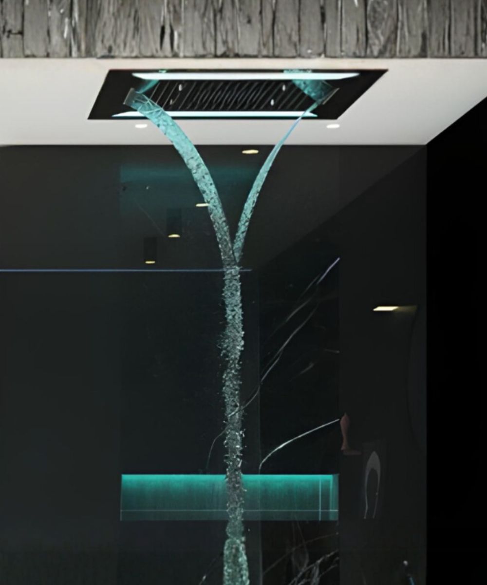Multi-Function Shower
