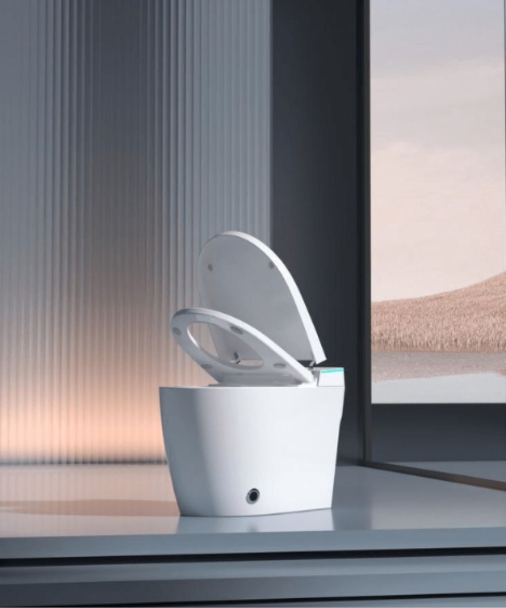Smart Toilet