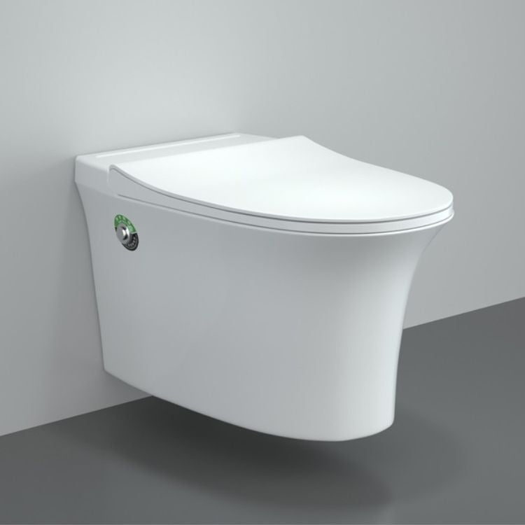 Wall Hung Toilet